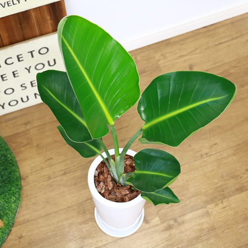 �͵��� ���ȥ����� ���������� 80cm �饦���ƫ��ȭ �� ���������� ������ �������ޥץ쥼��ȡڿ��̸��������
