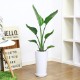 �͵��� ���ȥ����� ���������� 80cm �饦���ƫ��ȭ �� ���������� ������ �������ޥץ쥼��ȡڿ��̸��������