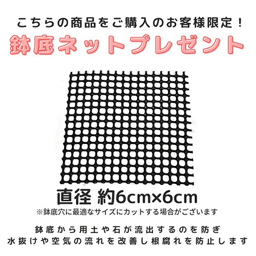 ��������ƫ��ȭ M������ ���٤룲���顼�ڼ������դ� ȭ��ͥå��դ����淿 �ץ����� ����ץ� �������ʿ���ȭ ���տ�ʪ�� �� �� ȭ �ѷ� ƫ�� �ꤢ�� ��ȭ �ǥ�����ȭ 7��ȭ 8��ȭ �ĥ䤢�� ȭ���� ����ȭ �ۥ磻�� �֥�å� ��� �����ǥ˥� ��Ʊ���Բ�