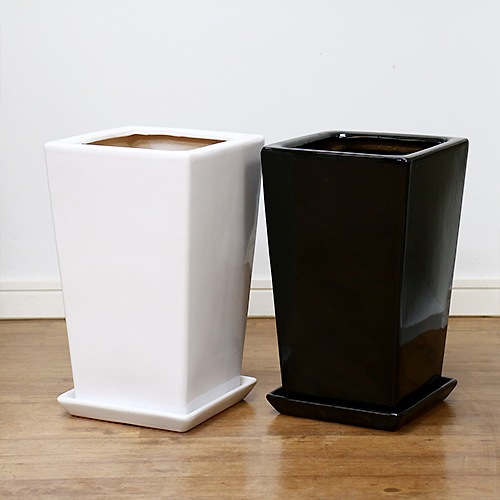 ��������ƫ��ȭ M������ ���٤룲���顼�ڼ������դ� ȭ��ͥå��դ����淿 �ץ����� ����ץ� �������ʿ���ȭ ���տ�ʪ�� �� �� ȭ �ѷ� ƫ�� �ꤢ�� ��ȭ �ǥ�����ȭ 7��ȭ 8��ȭ �ĥ䤢�� ȭ���� ����ȭ �ۥ磻�� �֥�å� ��� �����ǥ˥� ��Ʊ���Բ�