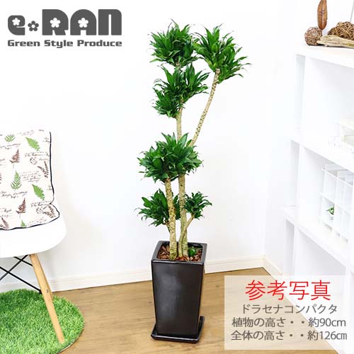 ��������ƫ��ȭ M������ ���٤룲���顼�ڼ������դ� ȭ��ͥå��դ����淿 �ץ����� ����ץ� �������ʿ���ȭ ���տ�ʪ�� �� �� ȭ �ѷ� ƫ�� �ꤢ�� ��ȭ �ǥ�����ȭ 7��ȭ 8��ȭ �ĥ䤢�� ȭ���� ����ȭ �ۥ磻�� �֥�å� ��� �����ǥ˥� ��Ʊ���Բ�