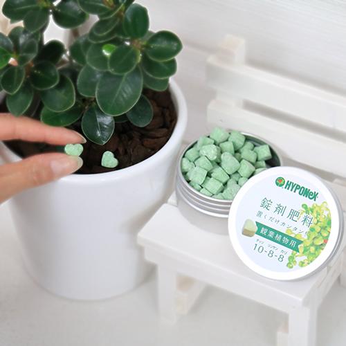 ���տ�ʪ�� ���� �ϡ��ȷ� �������� �ڿ�ʪ�Ȱ��ˤ�����������̵���۴�ñ ȭ�ξ���֤������� hyponex HYPONEX ������� ��ݥ��å� �ϡ������� ̵�� �ݥ���Ⱦò� HYPONeX �ϥ��ݥͥå��� ����ѥ� ���襤��������� �ʰ�����