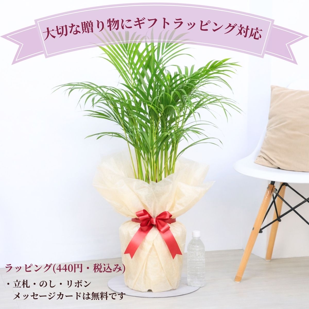 ���տ�ʪ ���� ���쥫�䥷 7��ȭ ���줫�䤷 ��ޥɥ�䥷 �����ͥ����䥷 ������ܿ�� ���������Х��ե饤�ѡ��� �䥷���ڡڿ��̸��������