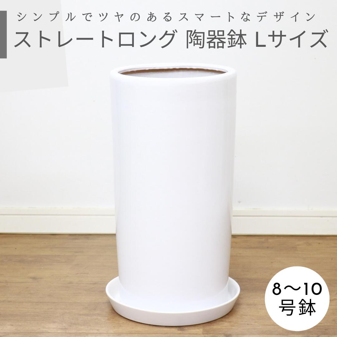 ストレートロング陶器鉢 Lサイズ 白【受け皿付き 鉢底ネット付き】中型