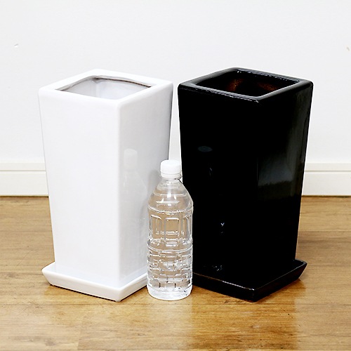 ƫȭ S ٤룲顼  ڼդ ȭͥåդ۾ ץ ץ ʿȭ տʪ ȭ ѷ ƫ ꤢ ȭ ǥȭ 6ȭ 7ȭ ĥ䤢 ȭ ȭ ۥ磻 ֥å  ǥ˥ ƱԲ