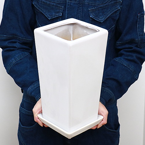 ƫȭ S ٤룲顼  ڼդ ȭͥåդ۾ ץ ץ ʿȭ տʪ ȭ ѷ ƫ ꤢ ȭ ǥȭ 6ȭ 7ȭ ĥ䤢 ȭ ȭ ۥ磻 ֥å  ǥ˥ ƱԲ