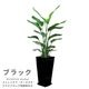 �͵��Υ��ȥ����� ���������� ���ƫ��ȭ ���٤�ȭ���顼 �� �� �⤵��120cm��130cm���� �緿�ڿ��̸�������������˳�Ļ��