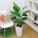 �͵��Υ��ȥ����� ���������� ���ƫ��ȭ ���٤�ȭ���顼 �� �� �⤵��120cm��130cm���� �緿�ڿ��̸�������������˳�Ļ��