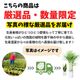 ���տ�ʪ ���� �͵��Υ��ȥ����� ���������� 3����Ω 8��ȭ ���������ץ饹���å�ȭ ���������� �����դ� �ڿ��̸��������
