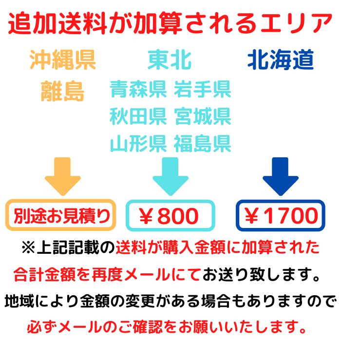 ���������ɥ쥢 ��������ƫ��ȭ�ʥ����ɥ쥢���ߥ������ѥǥ������˿͵� ���տ�ʪ �緿 �ڿ��̸��������