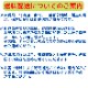 ���������ɥ쥢 ��������ƫ��ȭ�ʥ����ɥ쥢���ߥ������ѥǥ������˿͵� ���տ�ʪ �緿 �ڿ��̸��������