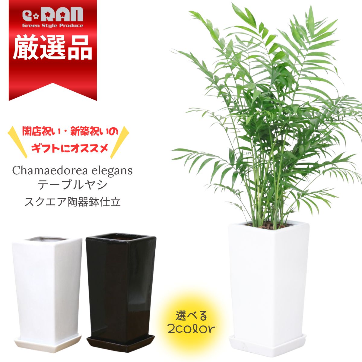 ڿ̸ۿ͵ տʪ 䥷 ơ֥䥷 ⤵7080cm ٤ƫȭ   6極