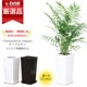 ڿ̸ۿ͵ տʪ 䥷 ơ֥䥷 ⤵7080cm ٤ƫȭ   6極