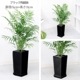 ڿ̸ۿ͵ տʪ 䥷 ơ֥䥷 ⤵7080cm ٤ƫȭ   6極