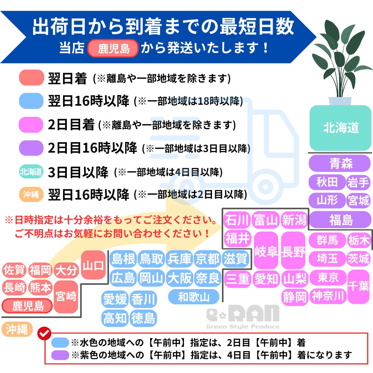 ���ȥ����� ���������� ���٤�ƫ��ȭ �� �� ������ �⤵��150cm�����160cm���� 10�極�����ڿ��̸��������