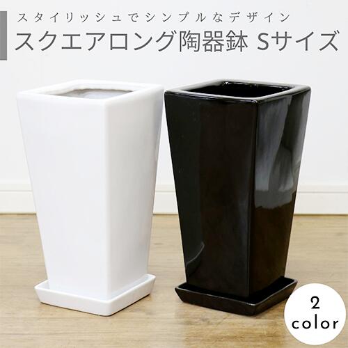 ������������ƫ��ȭ S������ ���٤룲���顼�ڼ������դ� ȭ��ͥå��դ��� ���� �淿 ����ץ� �������ʿ���ȭ  ��Ʊ���Բ�