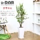������������ƫ��ȭ S������ ���٤룲���顼�ڼ������դ� ȭ��ͥå��դ��� ���� �淿 ����ץ� �������ʿ���ȭ  ��Ʊ���Բ�