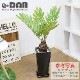 ������������ƫ��ȭ S������ ���٤룲���顼�ڼ������դ� ȭ��ͥå��դ��� ���� �淿 ����ץ� �������ʿ���ȭ  ��Ʊ���Բ�