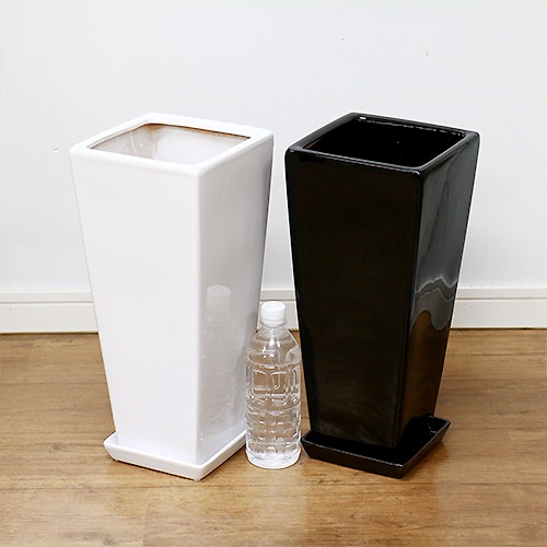 ������������ƫ��ȭ M������ ���٤룲���顼�ڼ������դ� ȭ��ͥå��դ��� �淿 �ץ����� ����ץ� �������ʿ���ȭ ���տ�ʪ�� �� �� ȭ �ѷ� ƫ�� �ꤢ�� ��ȭ �ǥ�����ȭ 7��ȭ 8��ȭ �ĥ䤢�� ȭ���� ����ȭ �ۥ磻�� �֥�å� ������� �����ǥ˥� ��Ʊ���Բ�