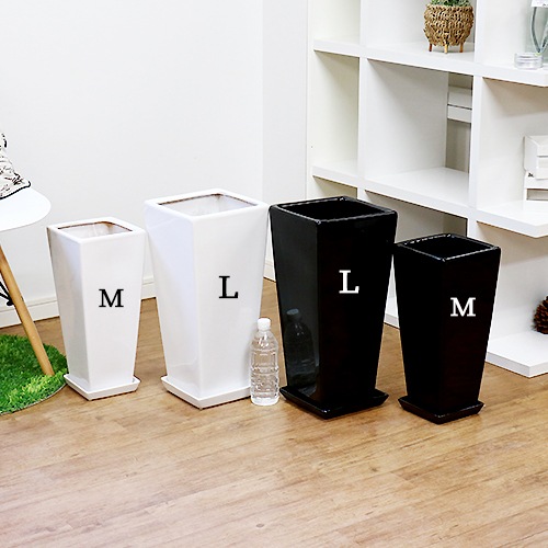 ������������ƫ��ȭ M������ ���٤룲���顼�ڼ������դ� ȭ��ͥå��դ��� �淿 �ץ����� ����ץ� �������ʿ���ȭ ���տ�ʪ�� �� �� ȭ �ѷ� ƫ�� �ꤢ�� ��ȭ �ǥ�����ȭ 7��ȭ 8��ȭ �ĥ䤢�� ȭ���� ����ȭ �ۥ磻�� �֥�å� ������� �����ǥ˥� ��Ʊ���Բ�