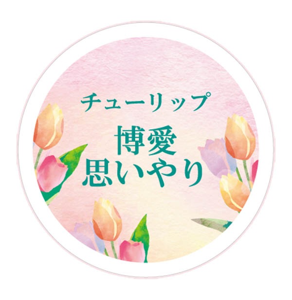 ���祳�饨���륻��WH11����36417��