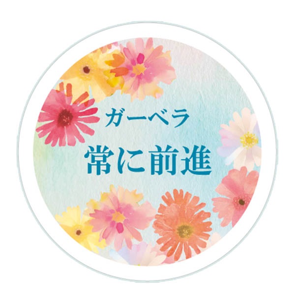 ���祳�饨���륻��WH5.5����36416��