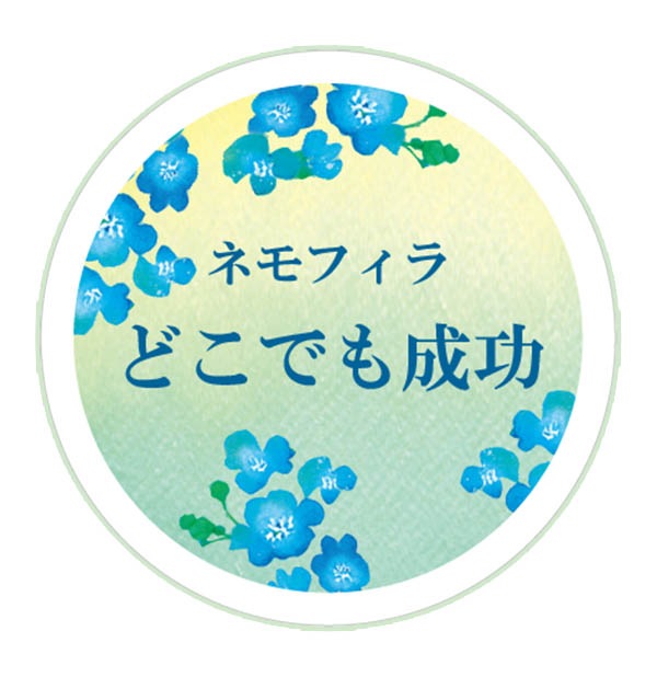 ���å���֥顼���塡WA12��36652��