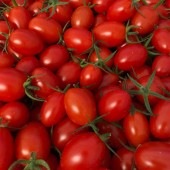 �ڻ���ľ��/����̵���� ���Τո��Τ��ޥȥޥ� ������6P���å�