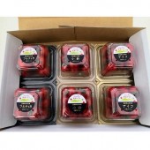 �ڻ���ľ��/����̵���� ���Τո��Τ��ޥȥޥ� 3�� 6P���å�