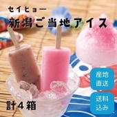 ڻľ/̵ ҥҥ硼ӿ㤴ϥ(ϺϺ 2Ȣ)