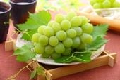 �ڻ���ľ��/����̵���۹��绺�֥��㥤��ޥ����åȡ�2�ԡ�8��ܤ��餪�Ϥ���