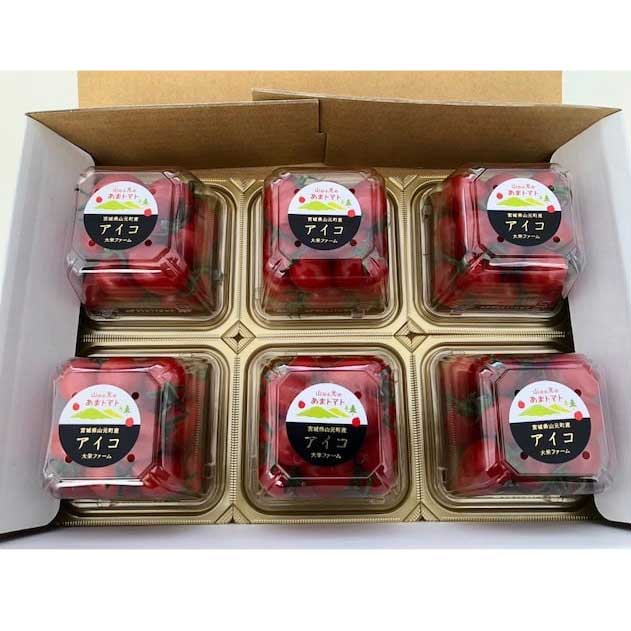 �ڻ���ľ��/����̵���� ���Τո��Τ��ޥȥޥ� ������6P���å�