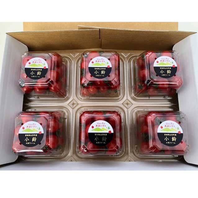 �ڻ���ľ��/����̵���� ���Τո��Τ��ޥȥޥ� ����6P���å�
