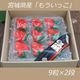 �ڻ���ľ��/����̵���۵ܾ븩����Į���������֤⤦���ä���PREMIUM9γ��2