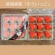�ڻ���ľ��/����̵���۵ܾ븩����Į���������֤⤦���ä���PREMIUM9γ��2