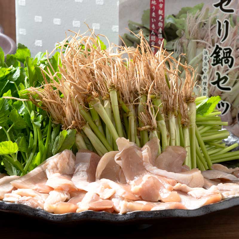 ڻľ/̵< ͤ>椻饻å<ӷ>23̾