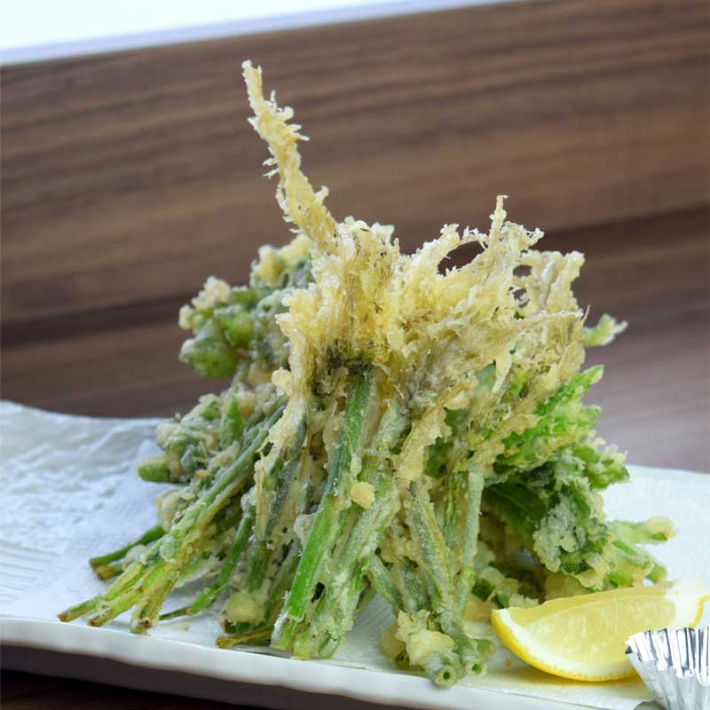 ڻľ/̵< ͤ>椻饻å<ӷ>23̾