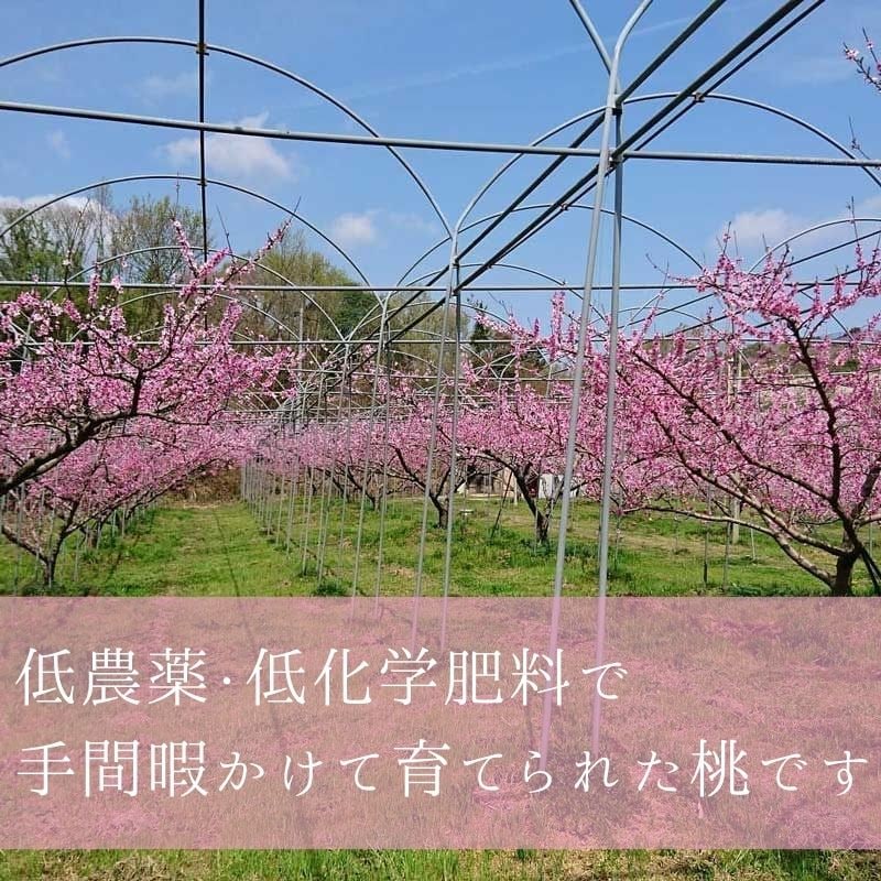 �ڻ���ľ��/����̵����<�̼��भ�Ĥʤ�>���⤵������������������׽���L������3�ԡ�8����ܡ����Ϥ���