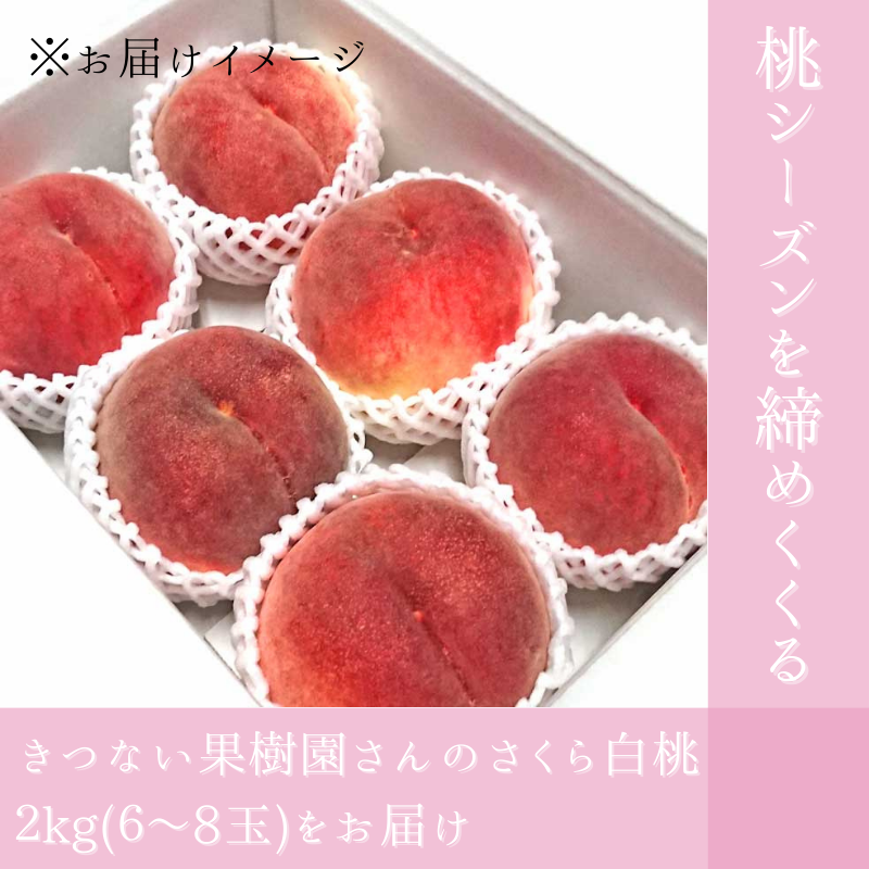 �ڻ���ľ��/����̵����<�̼��भ�Ĥʤ�>���⤵������֤����������׽���L������2�ԡ�9����ܡ����Ϥ���