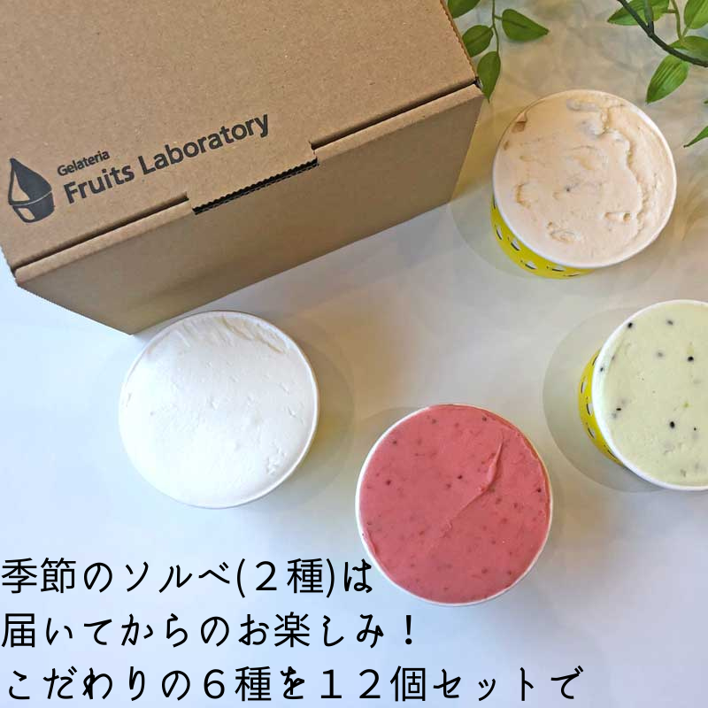 ڻľ/̵ۡGelateria Fruits Laboratoryӵܾ른顼&Υ 12ĥå