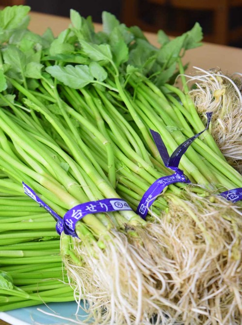 �ڻ���ľ��/����̵����<���� �ͤ�>���椻���饻�å�<���ӷ�>�ʤ��1������
