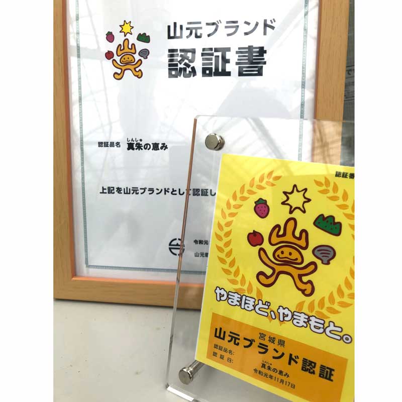 ڻľ/̵ ΤոΤޥȥޥ ηäߡʥȥޥȥ塼500ml