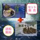 �ڻ���ľ��/����̵���۾����ѻ����ݥ顼��󡦥��硼�����å�
