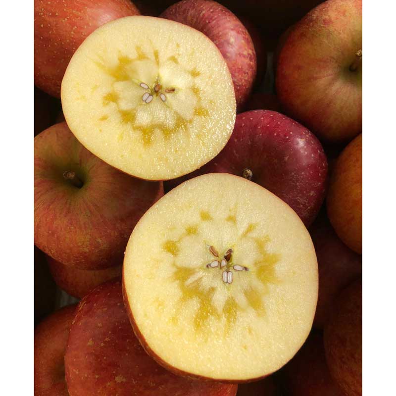 ڻľ/̵<̼भĤʤ>⤵Τ󤴡֥դ׽L5ԡ11ܡϤ