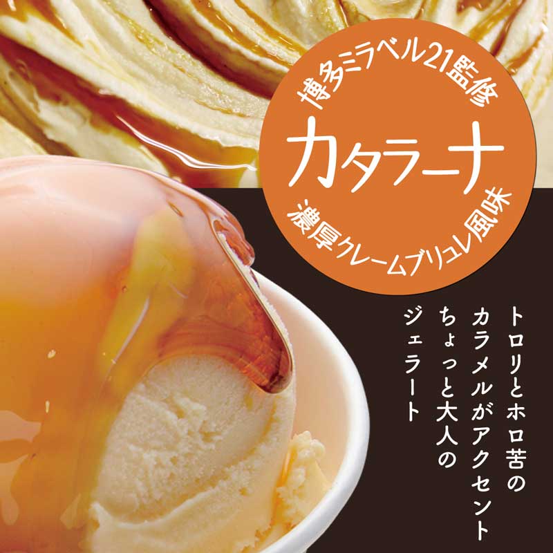 �ڻ���ľ��/����̵���� �Ҥդ�����å������顼�ȡӥץ�ߥ��ॻ�åȡ��̳�ƻ�ؤΤ��Ϥ����ѡ�