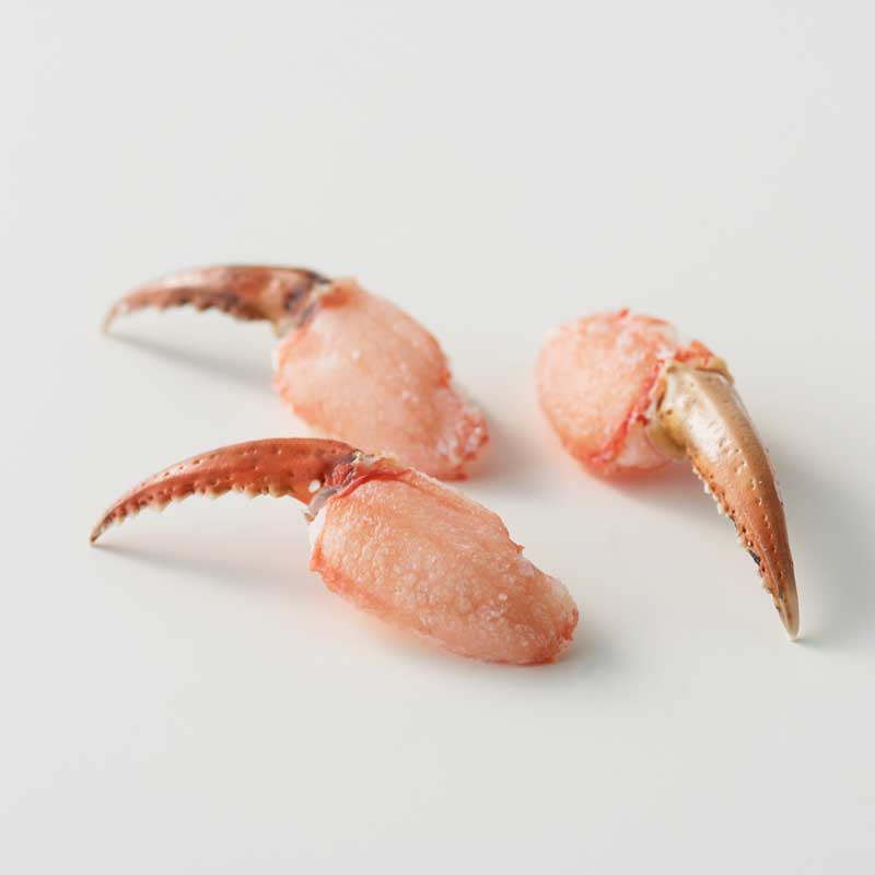 ڻľ/̵ۡҤʪDeepSeaRedCrab 1