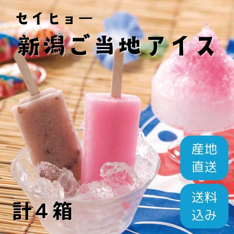 ڻľ/̵ ҥҥ硼ӿ㤴ϥ(ϺϺ 2Ȣ)