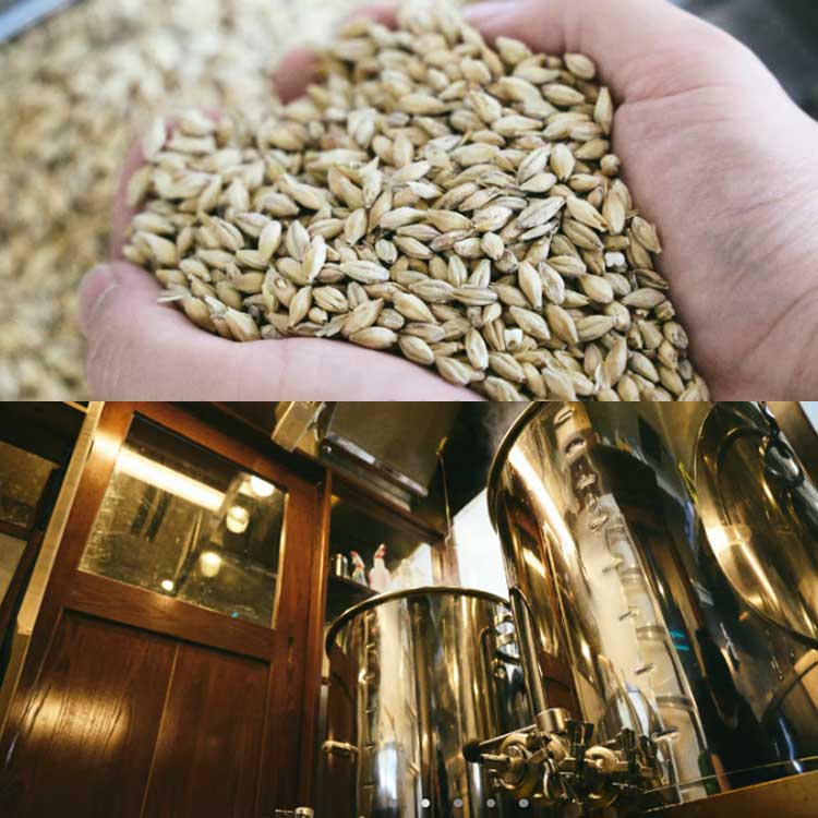 ڻľ/̵<TESHIGOTO>ʤǤϤΥեȥӡ롪ƥȥ32(6ܥå)