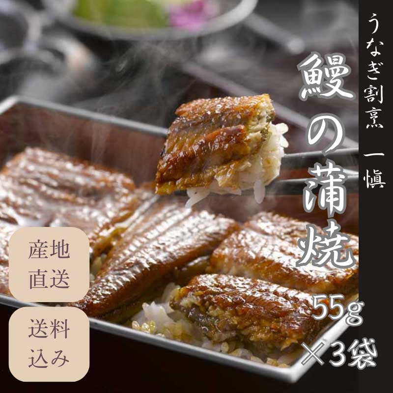 ڻľ/̵ ҤʤˣְơסӤʤơ3å