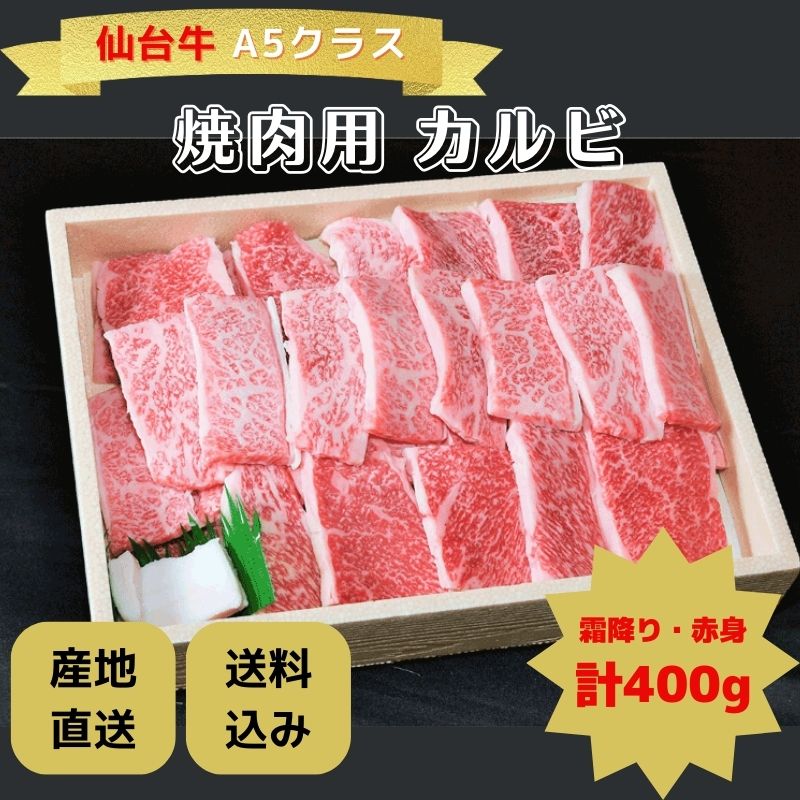 ڻľ/̵<餯Ź>A5饹 Ӿѡߤ200硦ֿ200